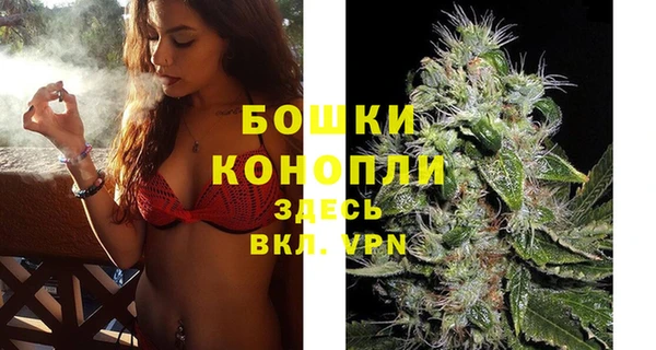 молекула духа Заволжск