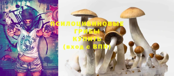 метадон Заводоуковск